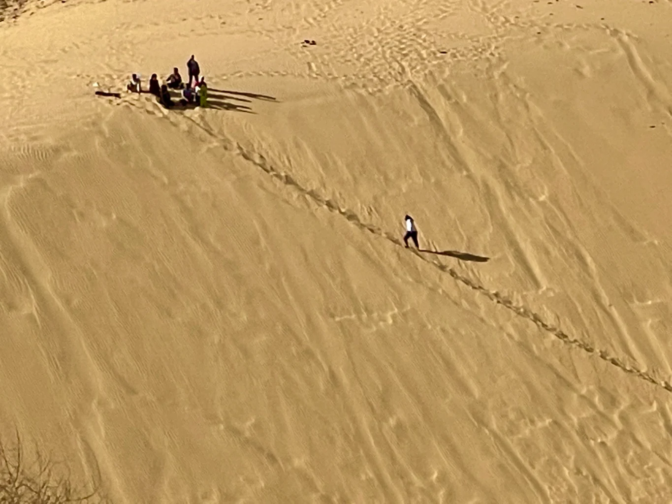 Sahara Desert, Egypt, 2022. A man climbing up a Sahara Desert sand dune following the tracks of a few other people who are lounging at the top. Credits: Celena Brown
